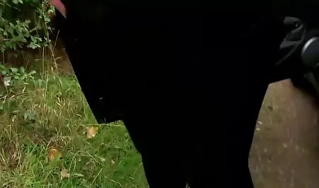 نمایش لزبین از دو دختر داستانهاي سكسي لز بادامک بزرگ